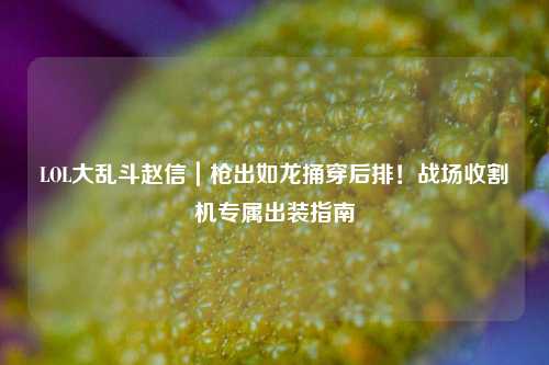 LOL大乱斗赵信｜枪出如龙捅穿后排！战场收割机专属出装指南