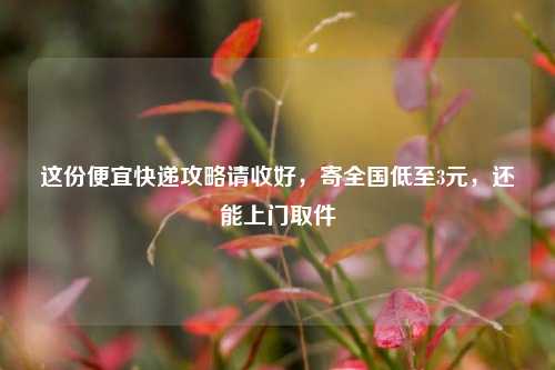 这份便宜快递攻略请收好，寄全国低至3元，还能上门取件