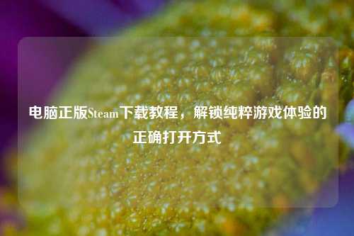 电脑正版Steam下载教程，解锁纯粹游戏体验的正确打开方式