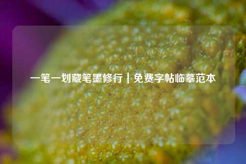 一笔一划藏笔墨修行｜免费字帖临摹范本