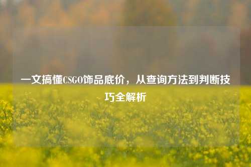 一文搞懂CSGO饰品底价，从查询     到判断技巧全解析