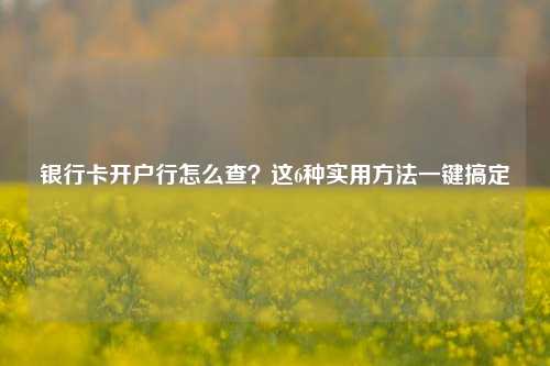 银行卡开户行怎么查？这6种实用     一键搞定