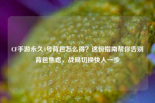 CF手游永久4号背包怎么得？这份指南帮你告别背包焦虑，战局切换快人一步