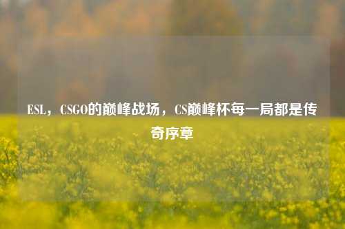 ESL，CSGO的巅峰战场，CS巅峰杯每一局都是传奇序章