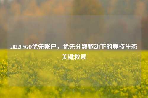 2022CSGO优先账户，优先分数驱动下的竞技生态关键救赎