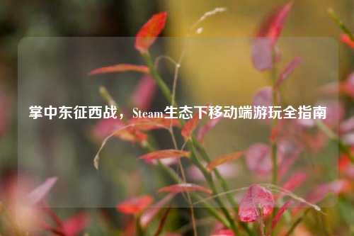 掌中东征西战，Steam生态下移动端游玩全指南
