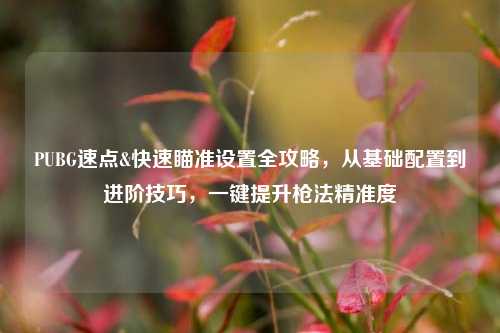 PUBG速点&快速瞄准设置全攻略，从基础配置到进阶技巧，一键提升枪法精准度