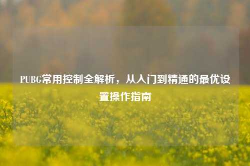 PUBG常用控制全解析，从入门到精通的更优设置操作指南