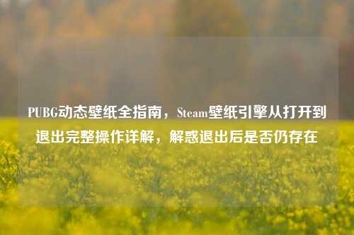 PUBG动态壁纸全指南，Steam壁纸引擎从打开到退出完整操作详解，解惑退出后是否仍存在
