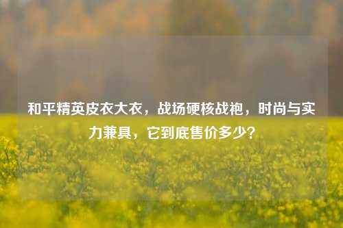 和平精英皮衣大衣，战场硬核战袍，时尚与实力兼具，它到底售价多少？