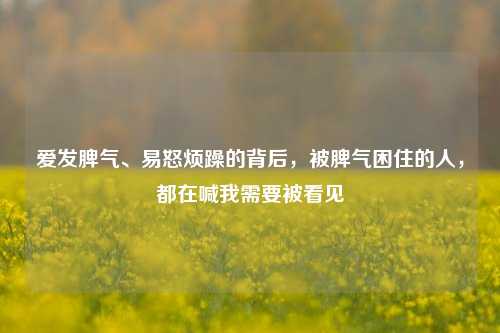 爱发脾气、易怒烦躁的背后，被脾气困住的人，都在喊我需要被看见