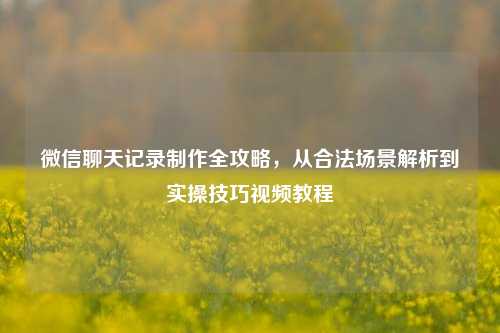 微信聊天记录     全攻略，从合法场景解析到实操技巧视频教程