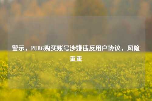 警示，PUBG购买账号涉嫌违反用户协议，风险重重