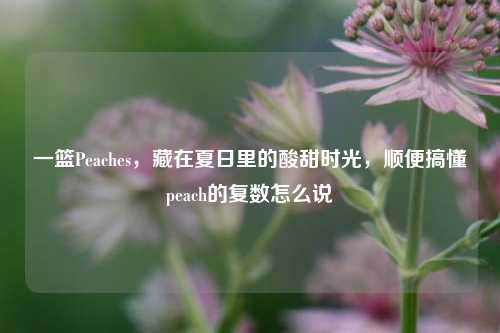 一篮Peaches，藏在夏日里的酸甜时光，顺便搞懂peach的复数怎么说