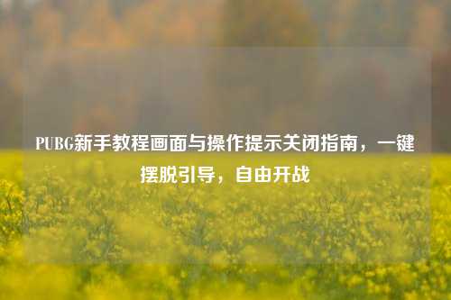 PUBG新手教程画面与操作提示关闭指南，一键摆脱引导，自由开战
