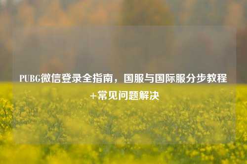 PUBG微信登录全指南，国服与国际服分步教程+常见问题解决
