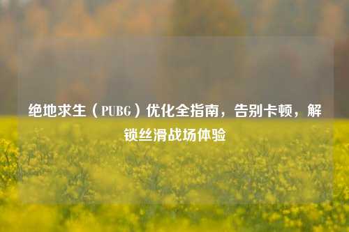 绝地求生（PUBG）优化全指南，告别卡顿，解锁丝滑战场体验
