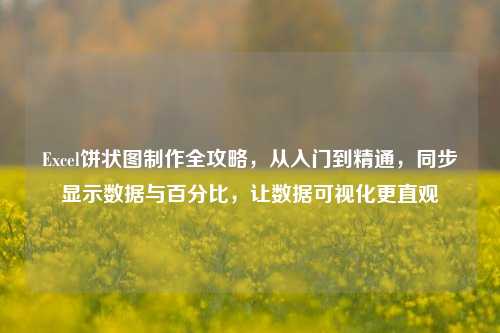 Excel饼状图     全攻略，从入门到精通，同步显示数据与百分比，让数据可视化更直观