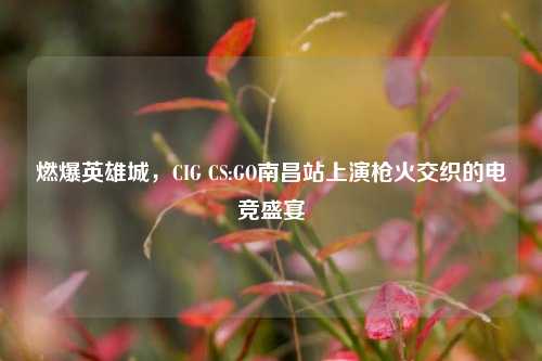 燃爆英雄城，CIG CS:GO南昌站上演枪火交织的电竞盛宴