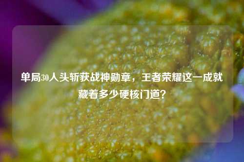 单局30人头斩获战神勋章，王者荣耀这一成就藏着多少硬核门道？