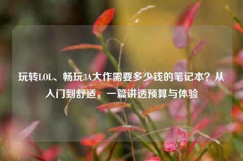 玩转LOL、畅玩3A大作需要多少钱的笔记本？从入门到舒适，一篇讲透预算与体验