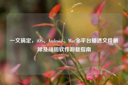 一文搞定，iOS、Android、Mac全平台描述文件删除及顽固软件卸载指南