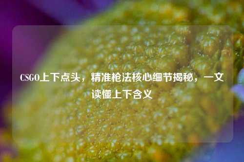 CSGO上下点头，精准枪法核心细节揭秘，一文读懂上下含义