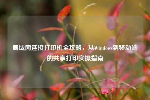 局域网连接打印机全攻略，从Windows到移动端的共享打印实操指南