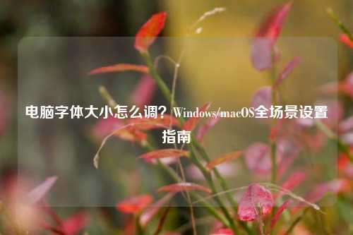 电脑字体大小怎么调？Windows/macOS全场景设置指南