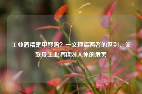 工业酒精是甲醇吗？一文理清两者的区别、关联及工业酒精对人体的危害