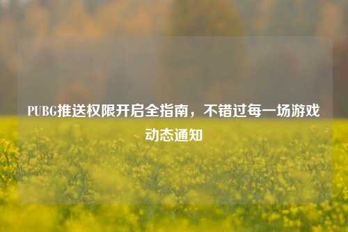 PUBG推送权限开启全指南，不错过每一场游戏动态通知