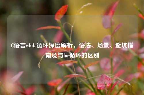 C语言while循环深度解析，语法、场景、避坑指南及与for循环的区别