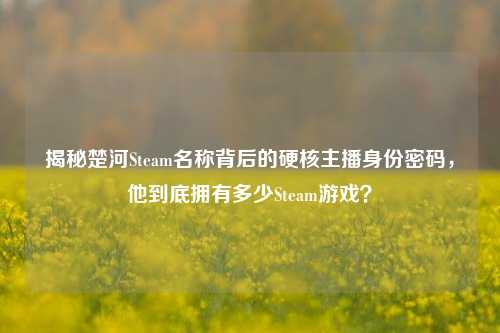 揭秘楚河Steam名称背后的硬核主播身份密码，他到底拥有多少Steam游戏？