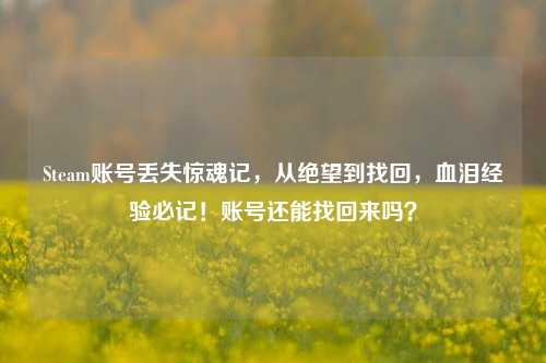 Steam账号丢失惊魂记，从绝望到找回，血泪经验必记！账号还能找回来吗？