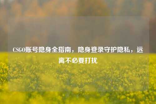 CSGO账号隐身全指南，隐身登录守护隐私，远离不必要打扰