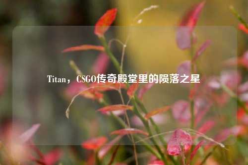 Titan，CSGO传奇殿堂里的陨落之星