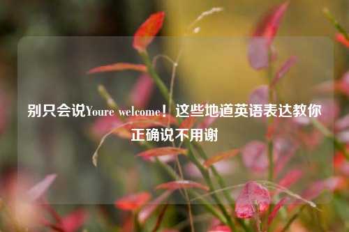 别只会说Youre welcome！这些地道英语表达教你正确说不用谢