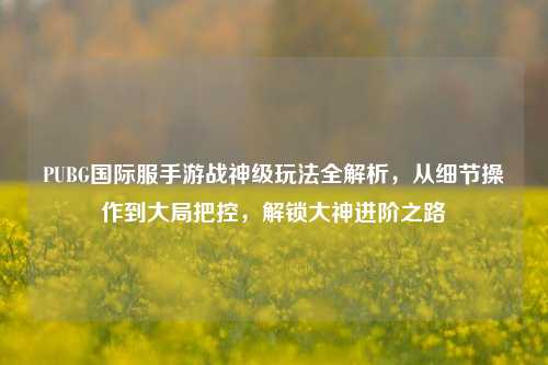 PUBG国际服手游战神级玩法全解析，从细节操作到大局把控，解锁大神进阶之路