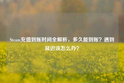 Steam充值到账时间全解析，多久能到账？遇到延迟该怎么办？