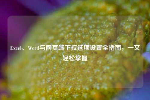 Excel、Word与网页端下拉选项设置全指南，一文轻松掌握