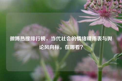 微博热搜排行榜，当代社会的情绪晴雨表与舆论风向标，在哪看？