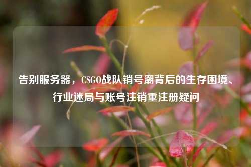 告别服务器，CSGO战队销号潮背后的生存困境、行业迷局与账号注销重注册疑问