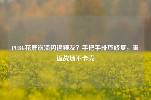 PUBG花屏崩溃闪退频发？手把手排查修复，重返战场不卡壳