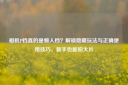 相机P档真的是懒人档？解锁隐藏玩法与正确使用技巧，新手也能拍大片