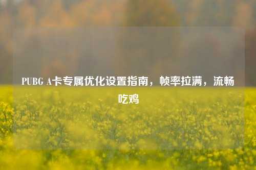 PUBG A卡专属优化设置指南，帧率拉满，流畅吃鸡