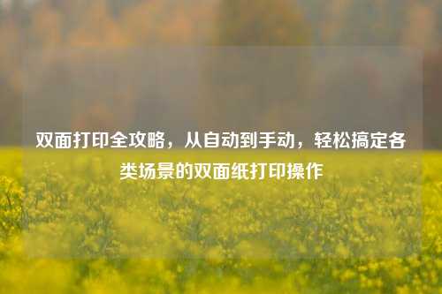 双面打印全攻略，从自动到手动，轻松搞定各类场景的双面纸打印操作