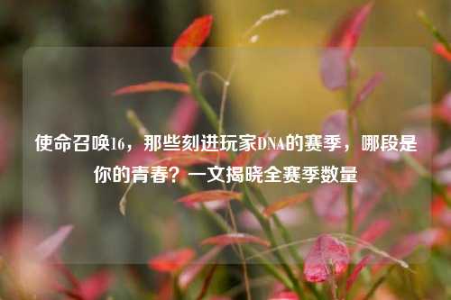 使命召唤16，那些刻进玩家DNA的赛季，哪段是你的青春？一文揭晓全赛季数量