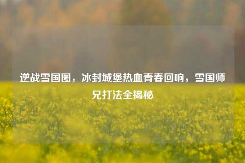 逆战雪国图，冰封城堡热血青春回响，雪国师兄打法全揭秘