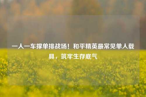 一人一车撑单排战场！和平精英最常见单人载具，筑牢生存底气