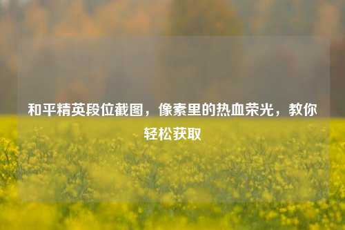 和平精英段位截图，像素里的热血荣光，教你轻松获取